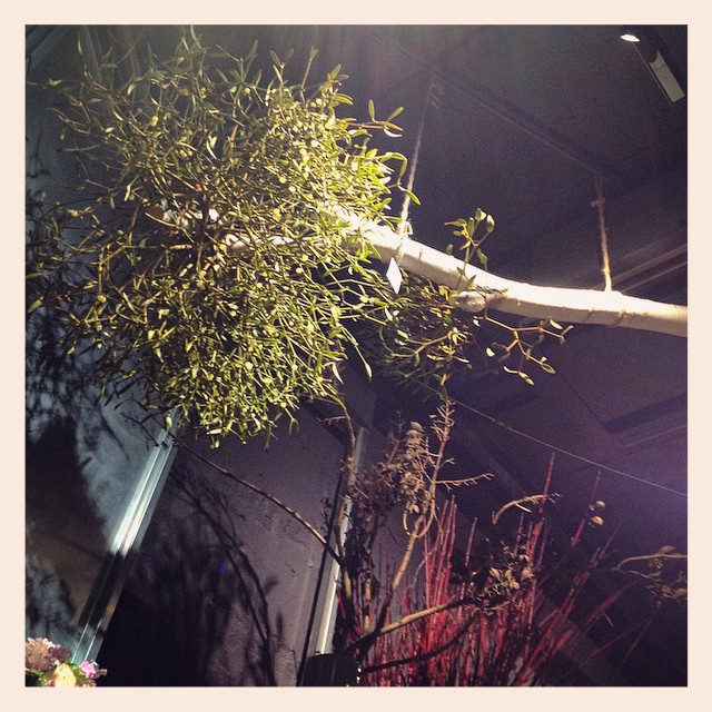 白樺の木に自生したヤドリギを天井から吊るしています。大きくて、シルエットのかっこいいオブジェの様。是非見に来て下さい！とっても素敵ですよ