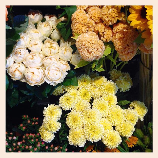 優しいクリーム色や黄色のお花は心が和みます