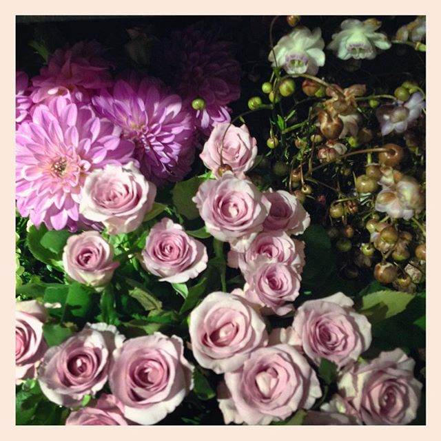 本日もたくさんお花が入荷しました。右上はコロンとした蕾がかわいい#レンゲショウマ