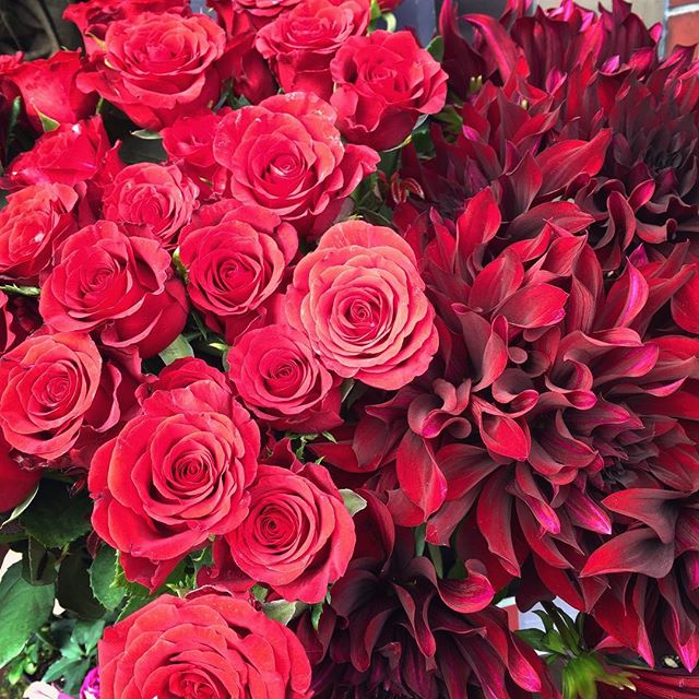 想いを伝える際にお花を12本贈る。ヨーロッパにはダズンブーケと呼ばれる風習があるそうで、12本のバラにはそれぞれに感謝や尊敬、幸福、永遠など12の意味があるそうです。それをすべて大切な方に誓う。そんな想いをこめてさりげないお花の贈り物はいかがですか？素敵なお花と共にご来店お待ちしております