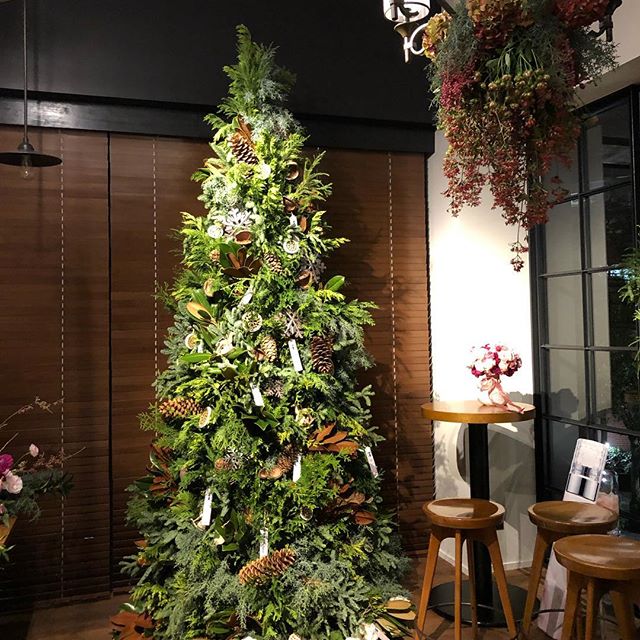 クリスマスのデコレーション。花王ソフィーナ様のプロモーションイベントでの装飾を担当させて頂きました。3mほどのツリーは8種類の植物でつくりました。リースやスワッグなどのオーダーもまだまだ承っております。