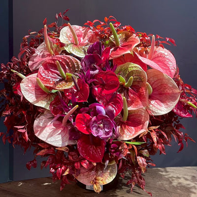 アレンジメント / RECOMMENDED