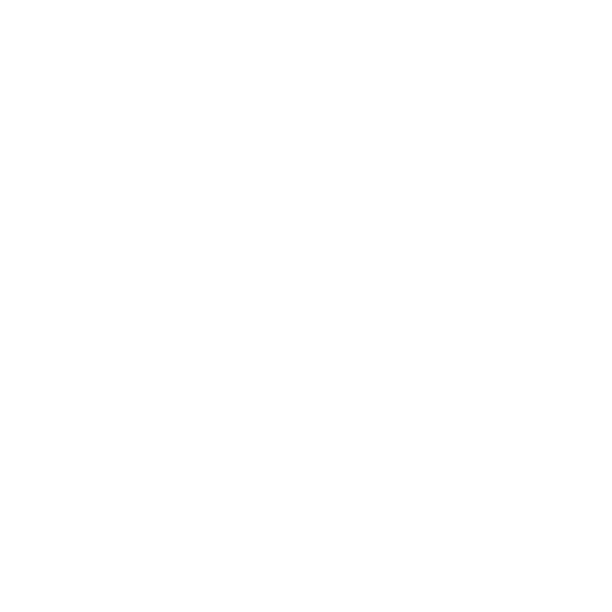 特別な赤いバラの花束