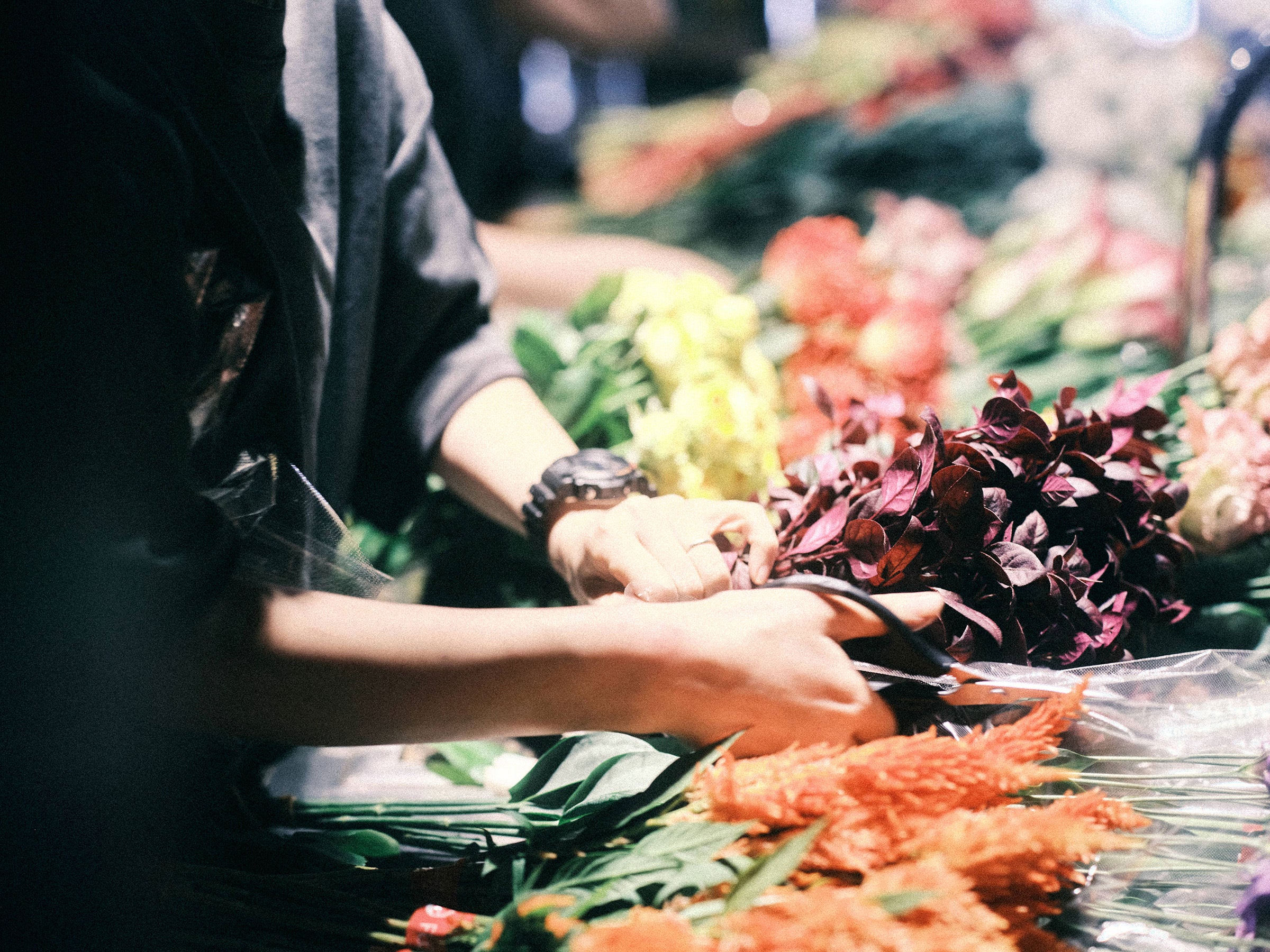 A day's work at  SORCERYDRESSING