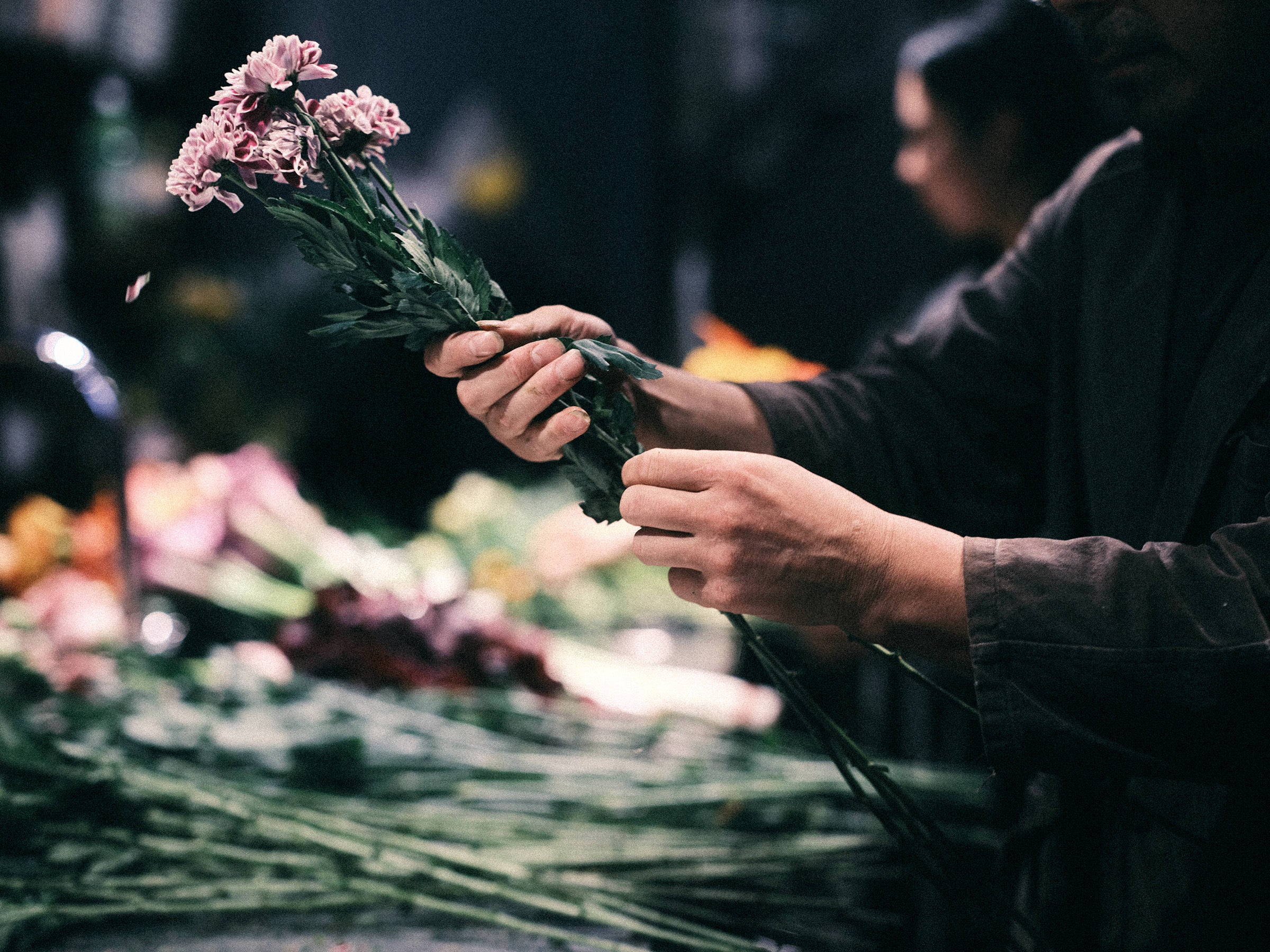 A day's work at  SORCERYDRESSING