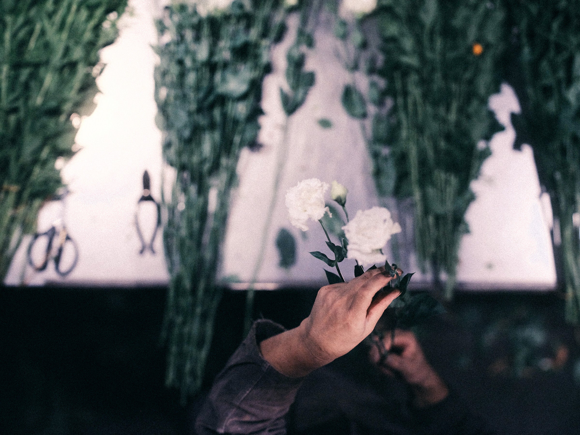 A day's work at  SORCERYDRESSING