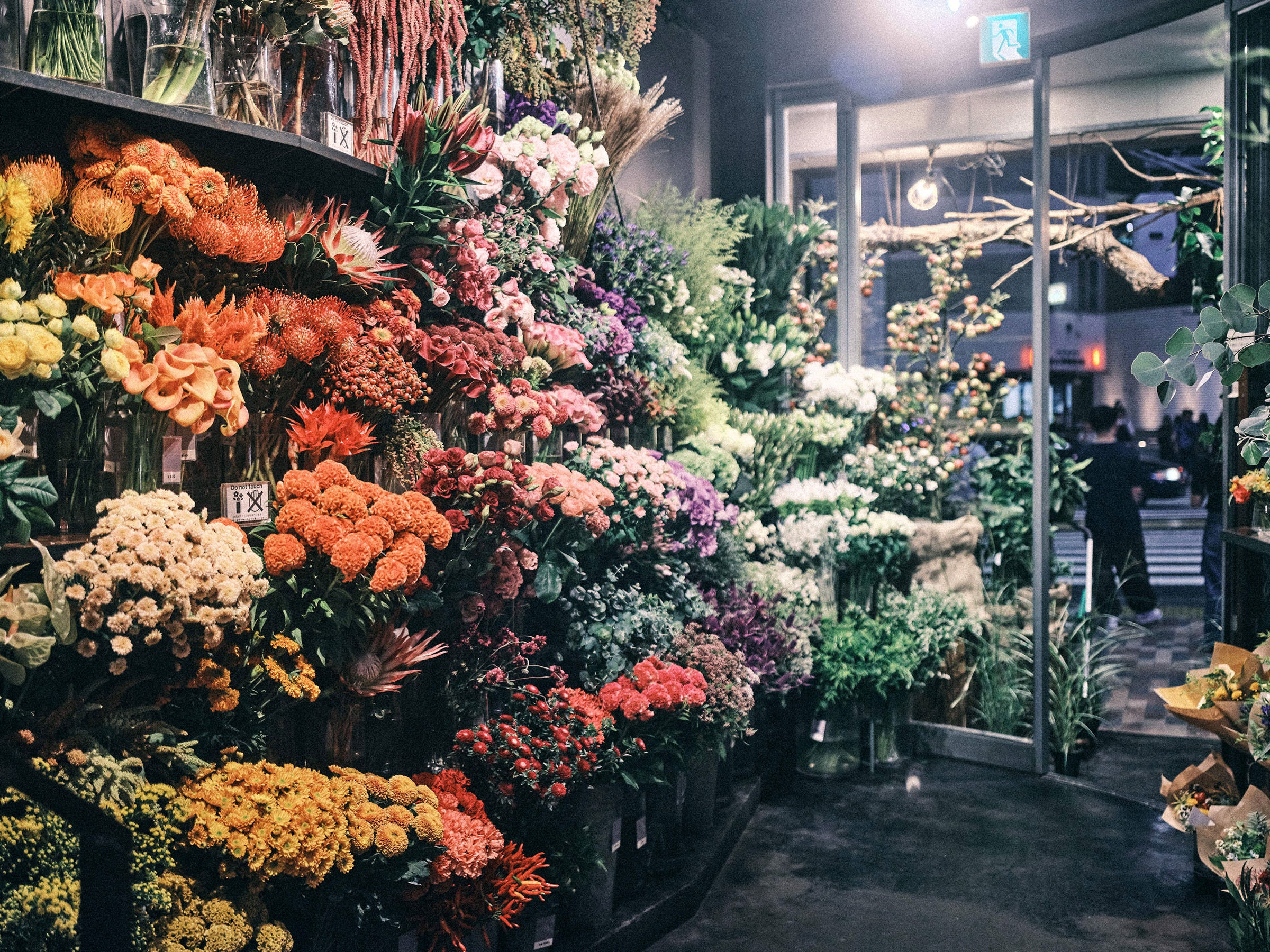 A day's work at  SORCERYDRESSING